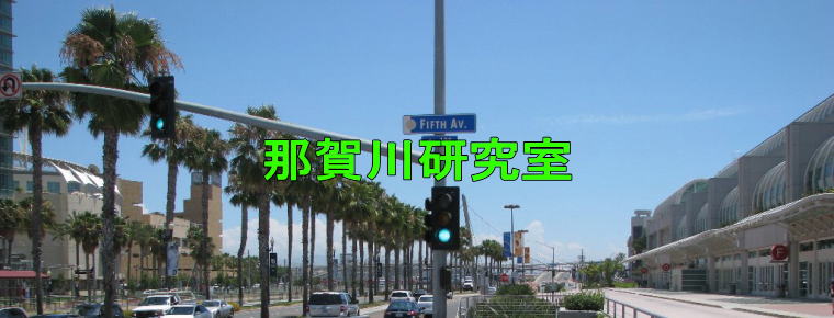 那賀川研究室 